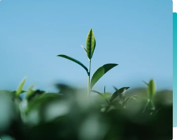 Meio Ambiente, <br>Sustentabilidade e ESG