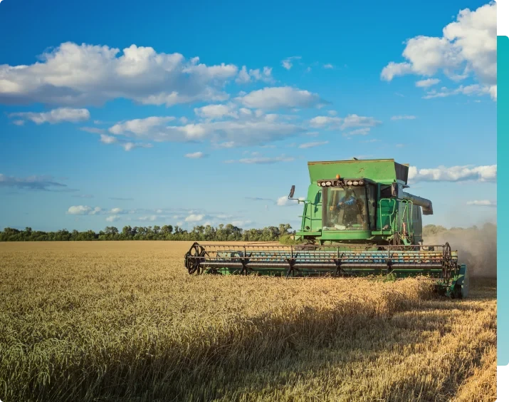 Agronegócio e Cadeias de Commodities Agrícolas