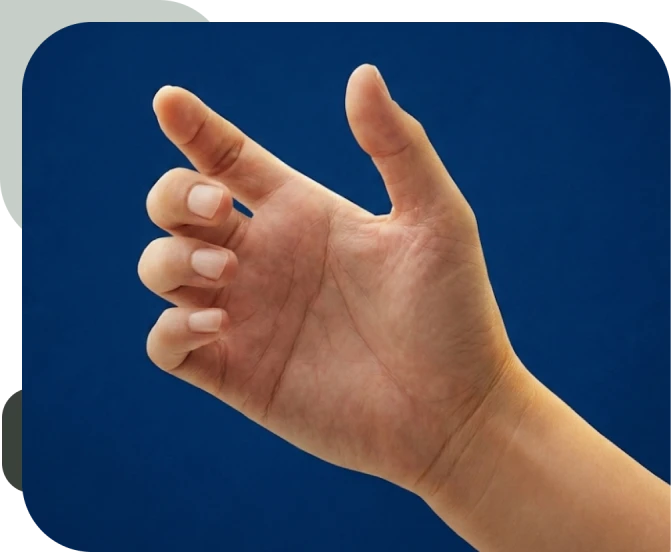 Tendões Extensor