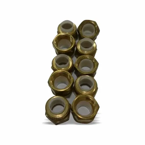 PORCA ANEL CÔNICO PARA TUBO FLEXÍVEL DE NYLON COM 10 PEÇAS - 021.0057-0