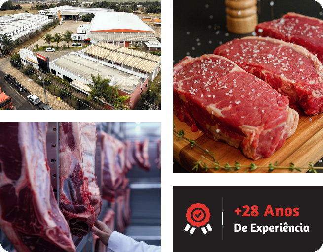 L&oacute;gistica e Estrutura <strong>Mult Beef</strong>