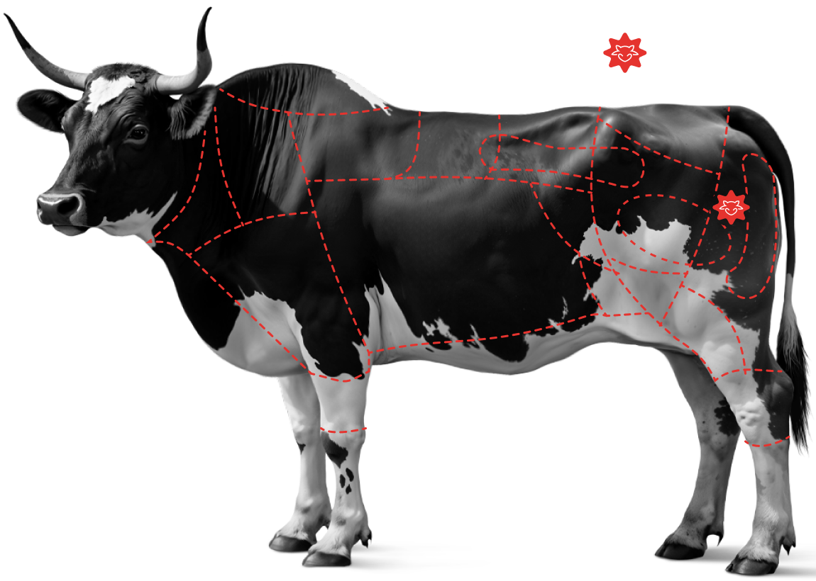 Saiba mais sobre o&nbsp;<br /><strong>Cox&atilde;o Duro Grill</strong>