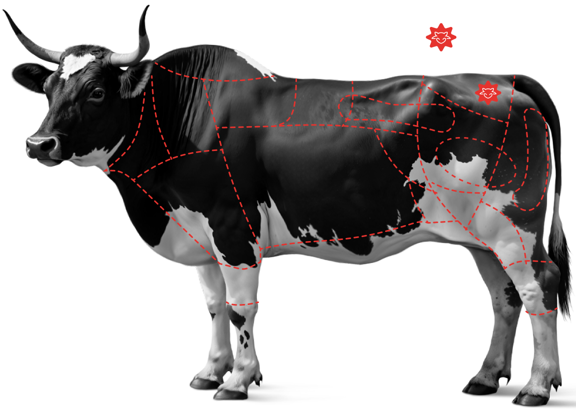Saiba mais sobre a&nbsp;<br /><strong>Picanha Prime</strong>